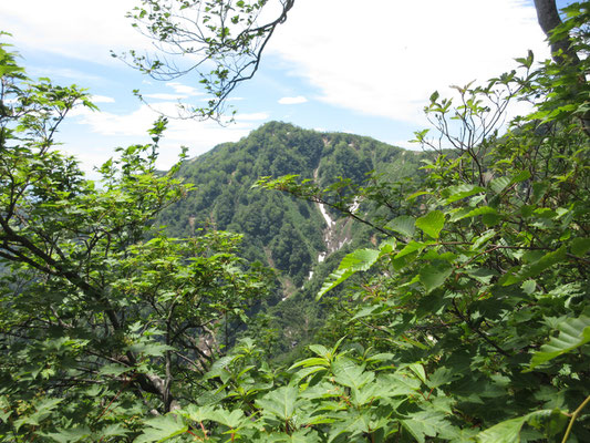 急登を行くと、やっと小遠見山らしきピークが見えてくる　まだしばらく登らなくては！