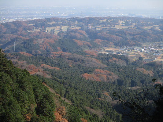 足下には紅葉と植林帯がバッチワーク模様