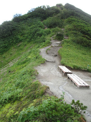 一旦小さな鞍部「くろゆりベンチ」と標識のある場所に出る　ここで出会った登山者二人の会話：「くろゆりベンチだって」「え、どこ？黒百合はどこ？」「どんな花だっけ？」「わからん！　まあ、そこにあるヤツを一応クロユリとしておこう」…(^_^;)