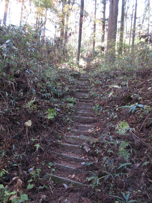 池の脇から急な階段を登ると神社境内に入る