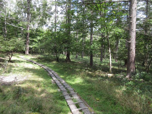 気分のいい散策路を辿る