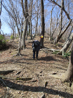 今回は華厳山の尾根だが、相変わらずの急登