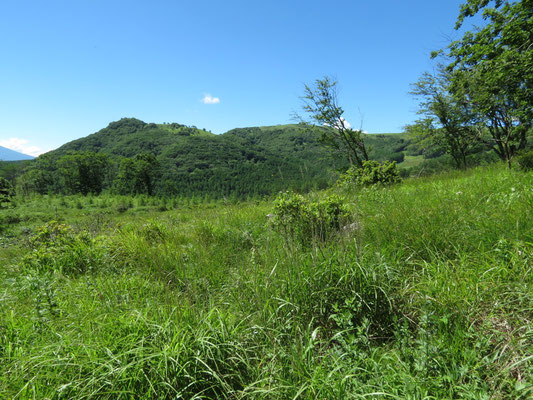 稜線に近づくと、後半に辿る殿城山が見えてきた　馬蹄形に巡る