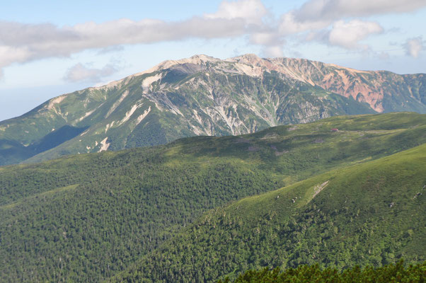 ドーンと存在感のある薬師岳　地質は6000万年前に噴出した濃飛流紋岩　山頂部一帯の岩石は最近の研究で「薬師岳流紋岩類」　（『日本の山ができるまで』小泉武栄著より）