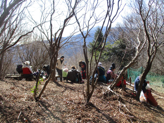 飛び出したヒオウギ広場はお日様いっぱい　無風ポカポカで最高のお休み処でした