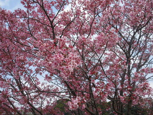 この日最後の華やかさ