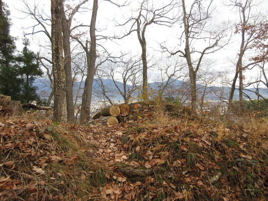 「忍者みち」でずっと下を見て楽しんでいると、視界が開ける場所にでる　丹沢の山並み