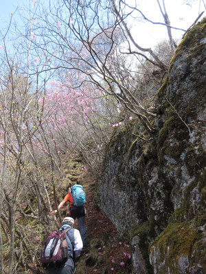 登山道はこんな感じ　だんだんと山頂部に行くと岩場でロープを頼りに行くようになる