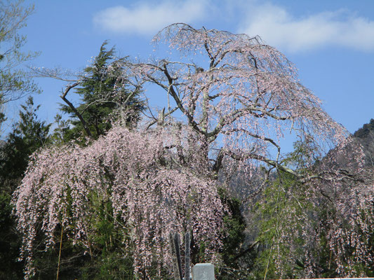 墓地内だが、とにかく素晴らしい