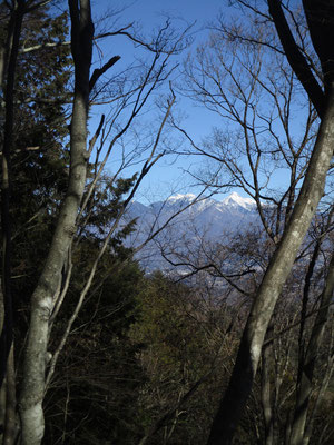 登っていく途中に木の間に八ヶ岳が見えてきます