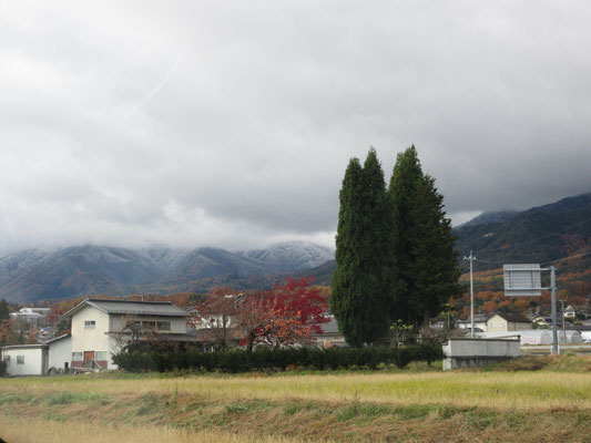 安曇野周辺は低い雲が降りている　しかしよく見ると山裾は紅葉しているが、その上は白い　これは降雪ではなく、雲（霧）のせいで樹木に霧氷がついたためだろう　儚げな美しさ