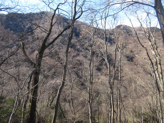 発句石までピストンしているメンバーがまだ戻らないので、荻野高取山への分岐地点にて、先程まで居た華厳山のスケッチを数枚描いて待っている　葉を落とした樹木の小枝の輝きは「神の造形物」としか思えない