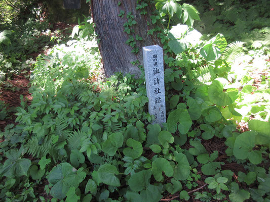 するとその脇にこの石碑が・・・つまりここは塩の道で、諏訪社もあったのだ　それで大きな杉もあったのか…　戸倉山に登山道が作られたのも、元々「塩の道」があったからで、しろ池への車道やキャンプ場整備などもそうした流れからだったのだろうと推測