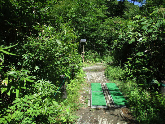 そして尾瀬に入るときには、登山靴に付いている「下界」の植物種の移入を防ぐ為に緑の足ふきマットを利用し入山します