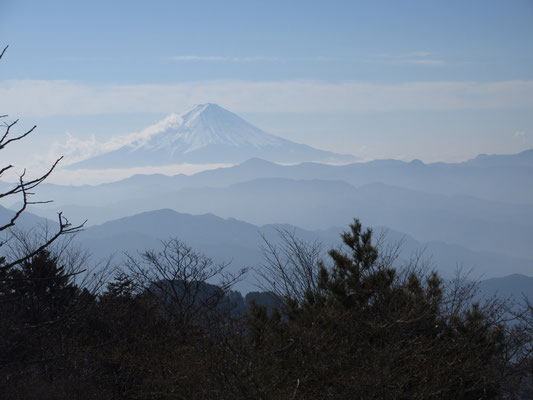 始めはガスがかっていたが、ちょうどドンピシャのタイミングで富士山もお目見え