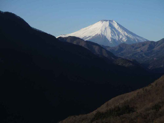 大室山のどっしり感にはかないませんが、富士山も白くひかえています