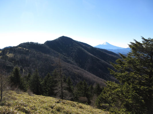 手前に美しい尾根が流れる小金沢山、奥に富士山　見事な構図