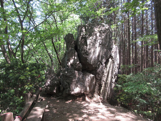 しばし頑張ると、峠手前の岩茸石に出会う