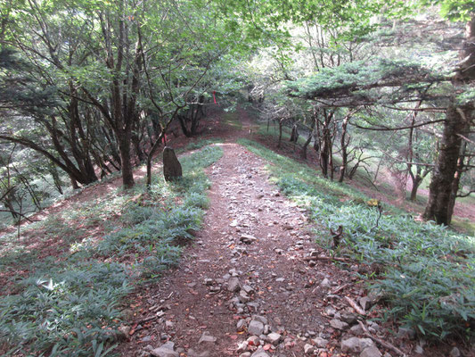 いい時間を過ごせた夜叉神峠小屋を後に下山開始