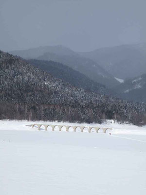 遠くに見るタウシュベツ橋梁