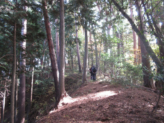 こんなにゆったりした山道が続く