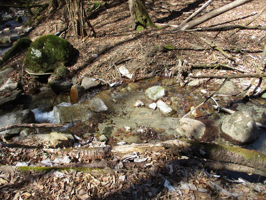 集落沿いに山麓を巻くようになると沢の水量も多くなる　河床は花崗岩が砂状になった明るい雰囲気