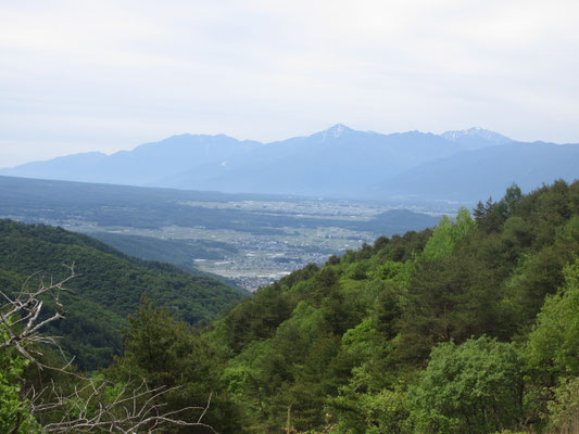 諏訪南ICで降り、ずっと霧ヶ峰目指し高度を上げていくと、綺麗な三角錐の甲斐駒ヶ岳と堂々とした仙丈ヶ岳が見えてくる!