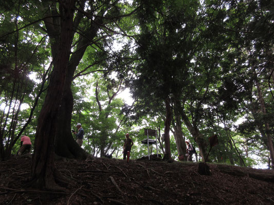 華厳山頂上直下　先発隊到着