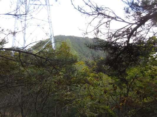 下山時に例の高圧鉄塔を過ぎた辺りから見えた御陵山山頂部　横に長い