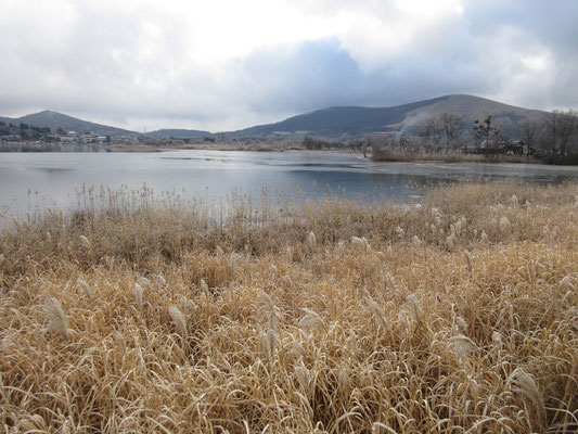 山伏峠のつもりが山中湖を越え、とうとう河口湖まで来てしまった