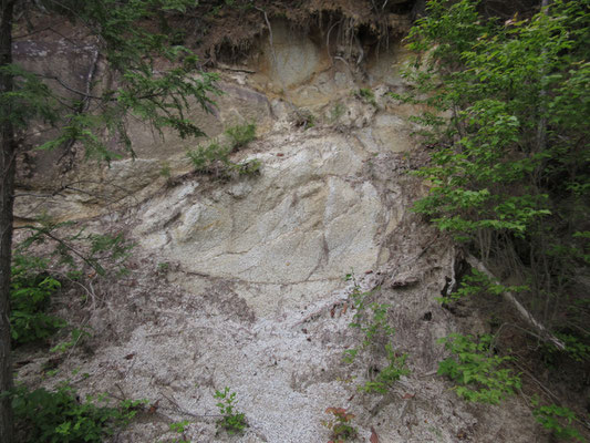 道路脇の岩質を見れば、花崗岩　水が沢山湧いているのも、この岩質が一因か？