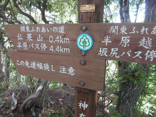 ここは宮ヶ瀬湖畔の山としては一番人気の仏果山に続く稜線　