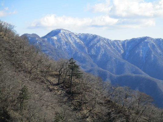 西丹沢の名峰檜洞丸　こちら側から見ると立派です