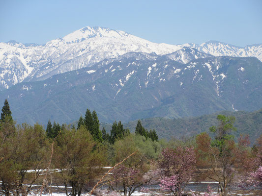 一番奥の高い山は越後三山の中ノ岳のようだ