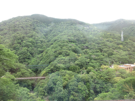 白っぽい橋梁の上に山の緑に同化したような緑の出山鉄橋が見える　さっきあそこを通ったのに、すでにこんなに登っている感が実感
