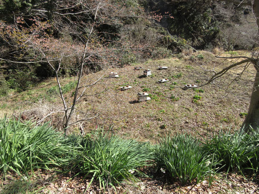 途中で見下ろすと休耕田だった場所か、養蜂の箱が見えた