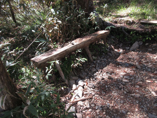 工夫された登山道8（オシャレな脚付きベンチ）