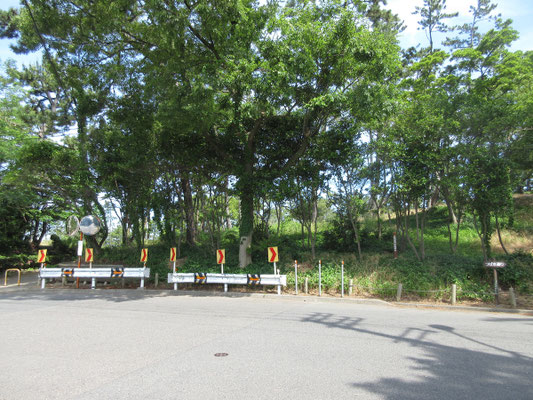 西海岸公園=防砂林となっている手前