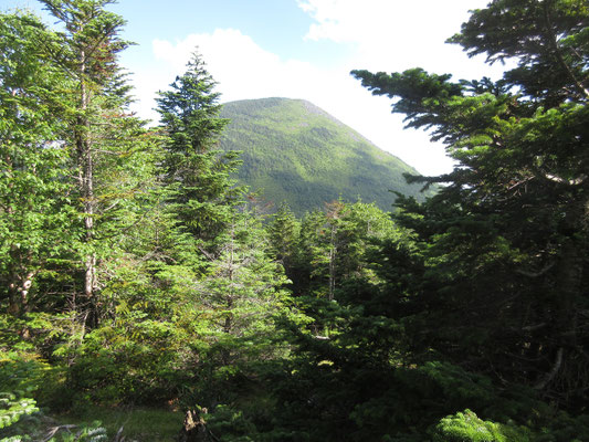描き終えたら、アブのいる山頂から退散 しかしトンボも飛び始めていて、西岳山頂ではアブとトンボのバトルの世界だった