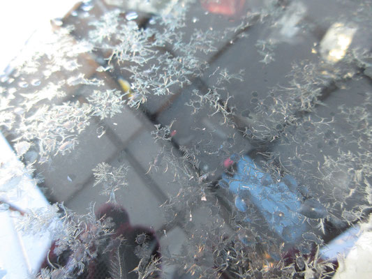 車のボンネットがちょっと雪の結晶のようなフシギで美しい模様になっていた