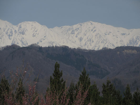 白馬岳　隣の平は杓子岳