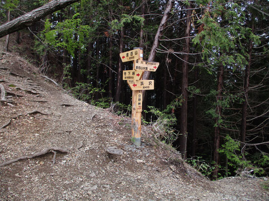 立野峠のきれいな標識　中央沿線の北側からの登りは植林帯の暗いなかからです　向こうから登ってきた人のほとんどは倉岳山に向かう登山者でしょう