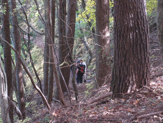 大嶺山のまさに大嶺=峠にさしかかった時に、当日最初で最後の人に会う