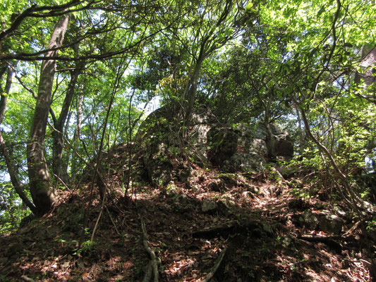 突然の大岩をヘツったり、金比羅山周辺はちょっとスリリングな箇所もあり