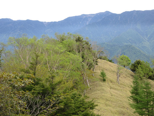 そして山頂正面　初めて目にする光岳　感動・・・