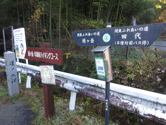 今日は半日数時間の山行　道の入から法華峯林道まで登る