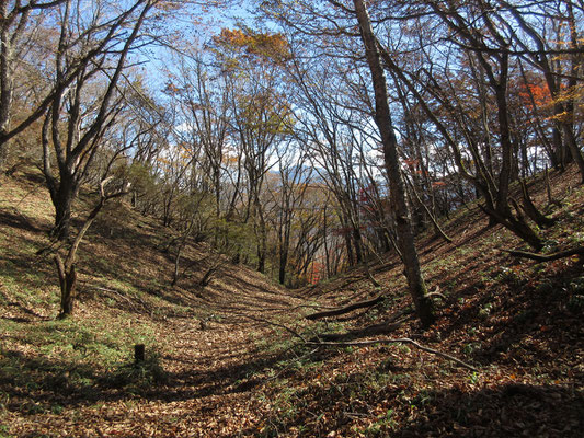 そしてこの下りが秀逸！　立ち止まるとサラサラと落ち葉の奏でる音　フカフカの山道　秋の心地よい懐に吸い込まれていくよう…