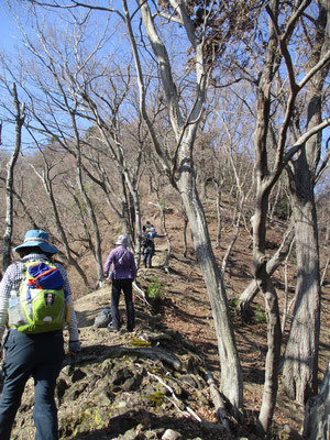 正念場の急登　もうひと頑張り