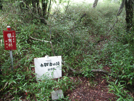 雨量観測所のある赤鞍ヶ岳、別名ワラビタタキに到着　この三角点は観測所の裏手に回り込んだ場所にある