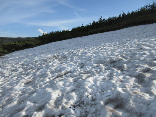 広い残雪広場に突然出る　きっと水場はこの下にある！